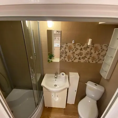 Lions Dristor Ii Bükreş