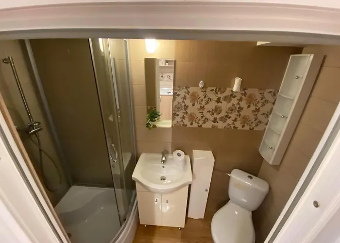 Lions Dristor Ii Βουκουρέστι